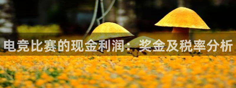 蜂鸟电竞怎么看比赛：电竞比赛的现金利润：奖金及税率分析