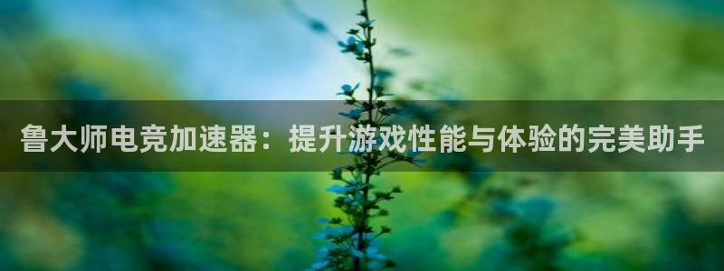 蜂鸟电竞直播入口：鲁大师电竞加速器：提升游戏性能与体验的完美助手