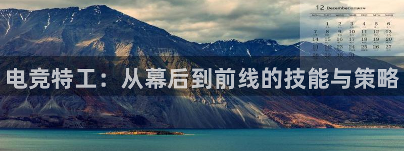 蜂鸟电竞怎么看直播：电竞特工：从幕后到前线的技能与策略