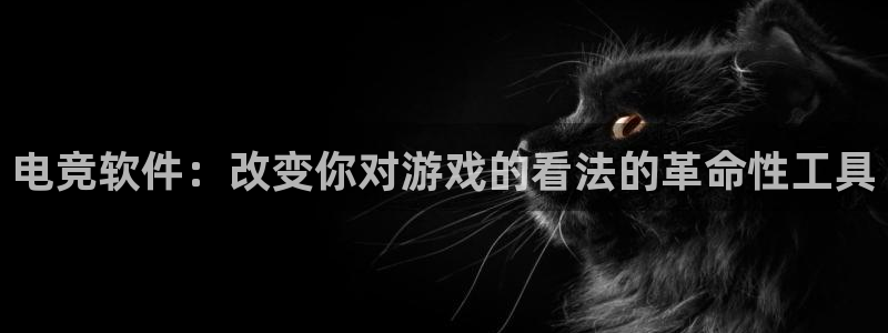 蜂鸟电竞app官网：电竞软件：改变你对游戏的看法的革命性工具